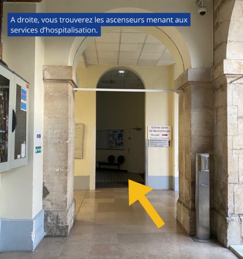 7-metro7-orientation-service